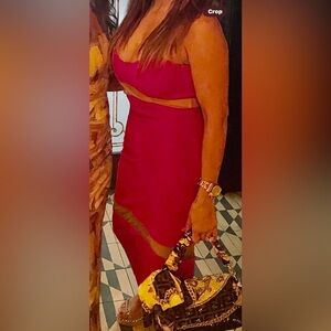 Chic Strapless Fuchsia Dress with Sheer Panels